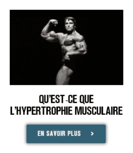 performancessportives.com hypertrophie musculaire