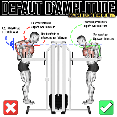 Règlement du dips en compétition de street lifting et défaut d'amplitude des épaules