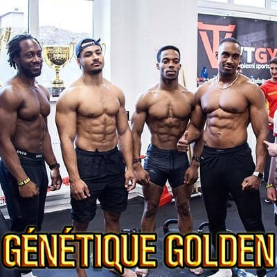 Dips street lifting et génétique golden