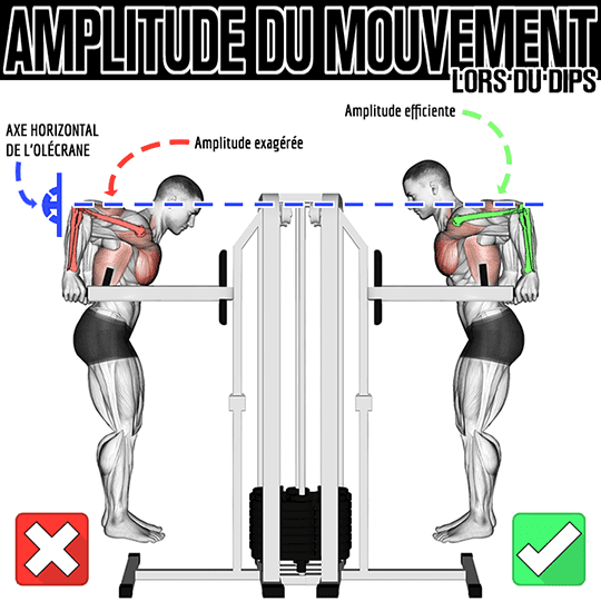 amplitude du mouvement pendant le dips en street lifting