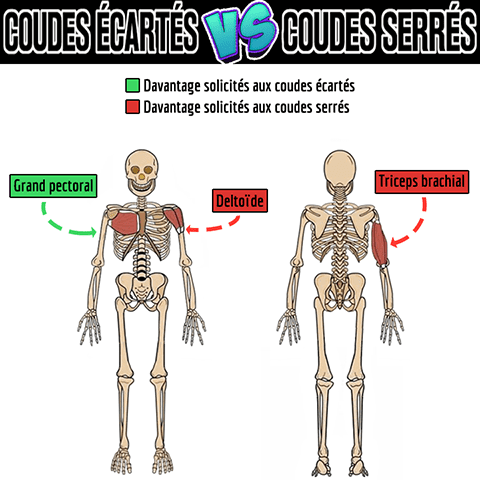 dips street lifting coudes écartés vs coudes serrés