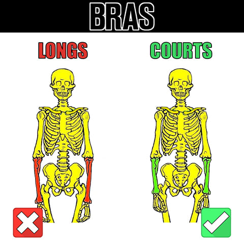 Morphologie du dips en street lifting et longueur des bras