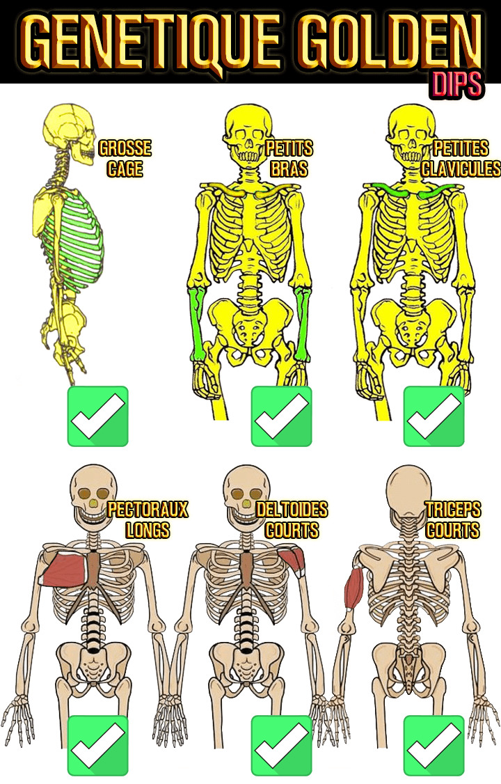 dips street lifting génétique golden