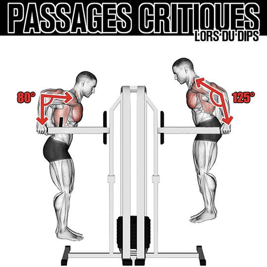 les passages critiques pendant le dips en street lifting