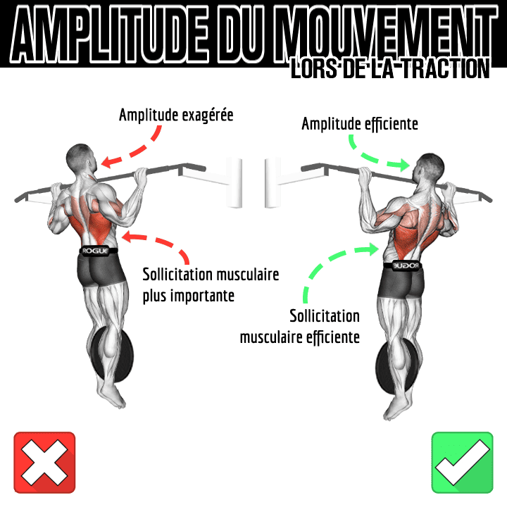 L'amplitude lors de la traction en street lifting