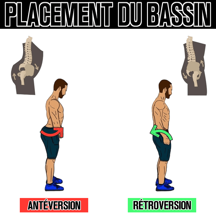 Placement du bassin