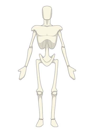 Biomécanique - position anatomique de référence