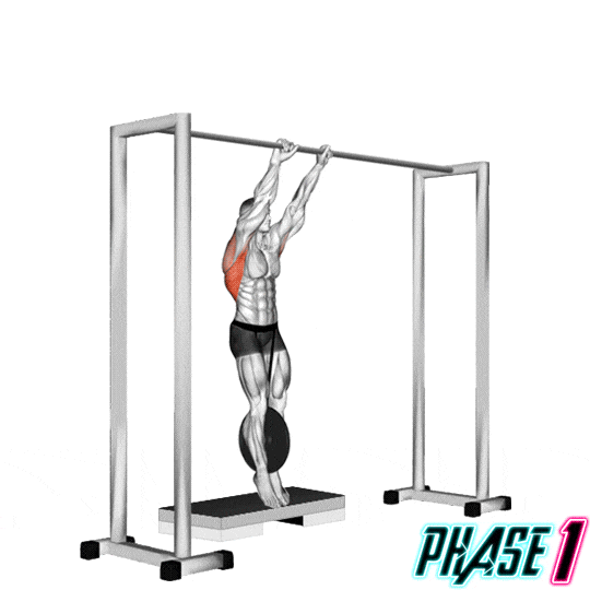 Les phases du muscle-up en street lifting