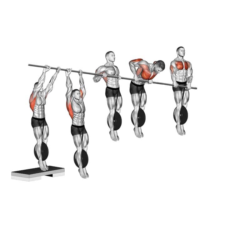 Les phases du muscle-up en street lifting
