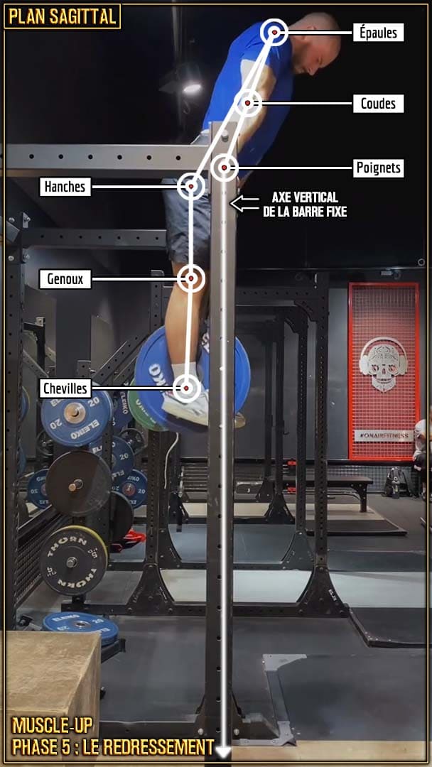 Muscle-up en street lifting - le redressement - positionnement des articulations - Raul Teslevici
