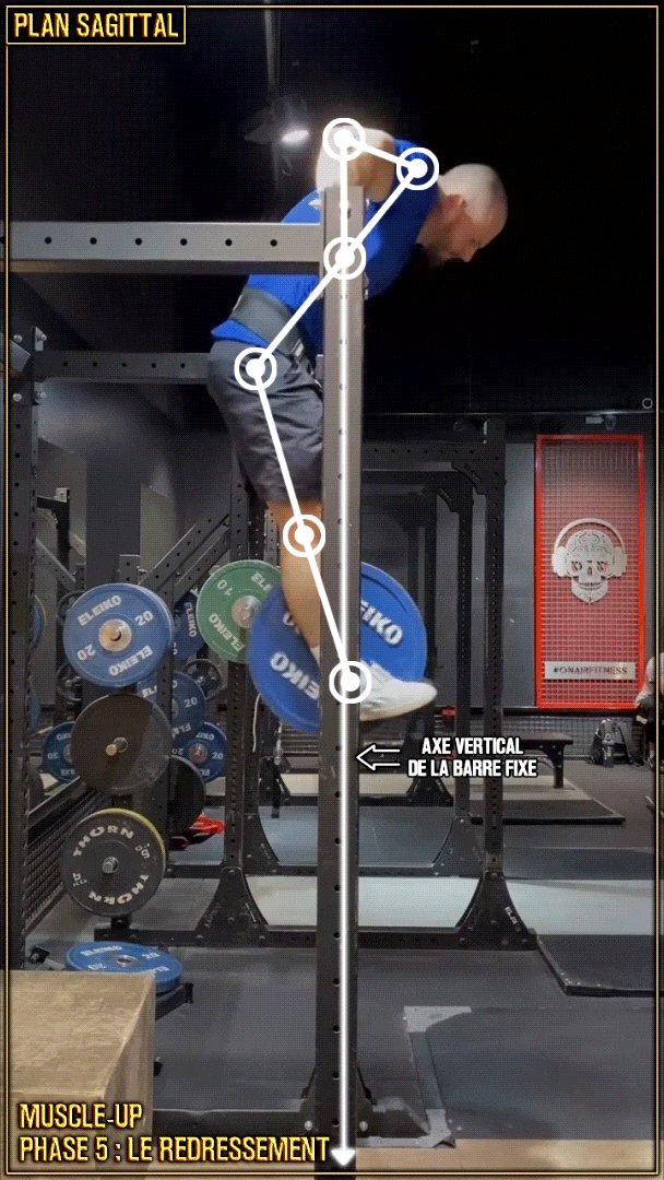 Muscle-up en street lifting - redressement - bar dips - extension des coudes - Raul Teslevici