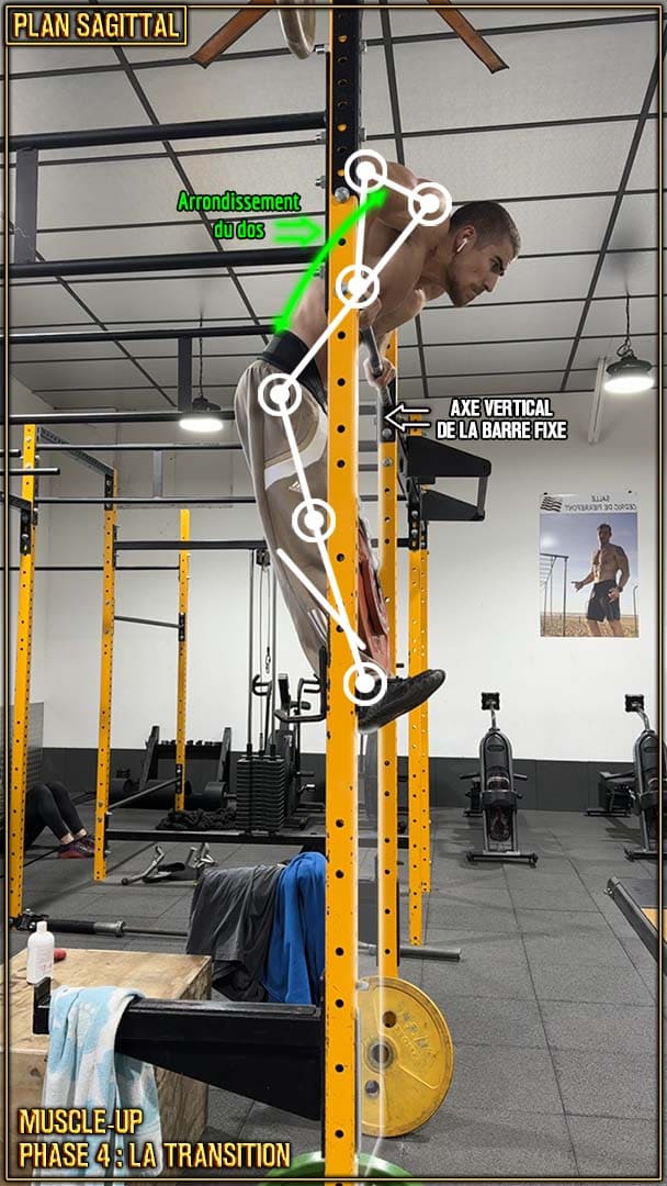 Muscle-up en street lifting - transition - fin de transition - position du dos - Aubin Chevillard