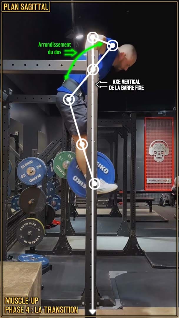 Muscle-up en street lifting - transition - fin de transition - position du dos - Raul Teslevici