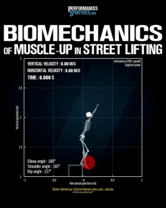 Biomechanics of muscle-up in street lifting - Biomécanique du muscle-up en street lifting