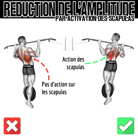 Réduction de l'amplitude par activation des scapulas lors de la traction en street lifting